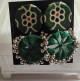 Handcrafted Round Mirror Erring Green Ajrakh