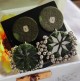 Handcrafted Round Mirror Erring Green Bandhej