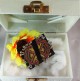 Handmade Fabric Chandra Earrings Titli