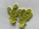 NU_Fresh Lime
