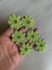 NU_Falling Flowers Green